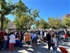 Inscripcions al Mercat de l